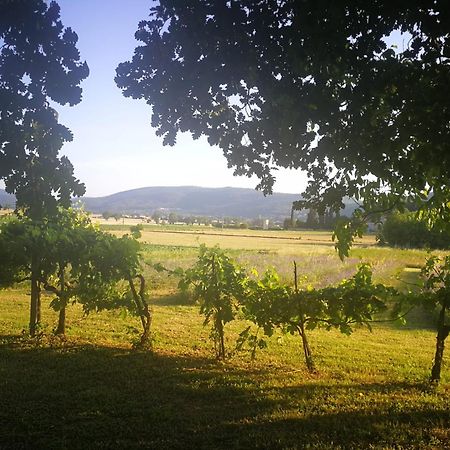 Claudia Vacanza Toscana - Appartamento Melograno -10 Min Da Siena Sovicille Kültér fotó