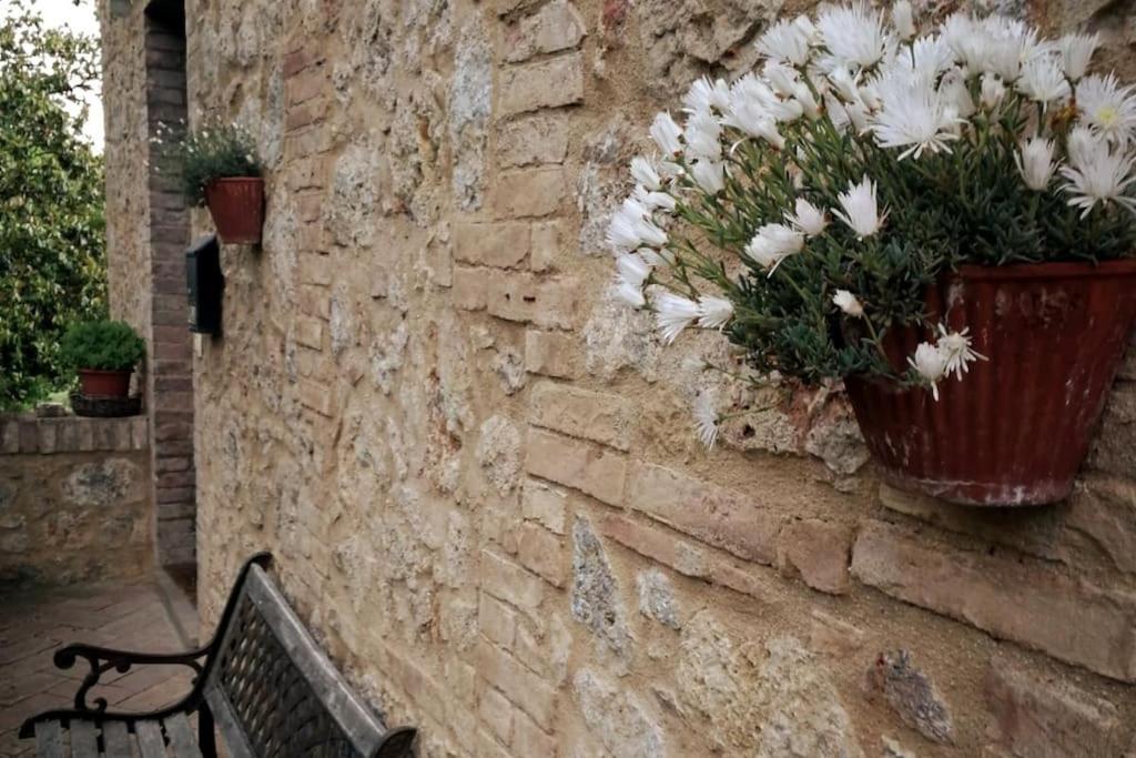 Claudia Vacanza Toscana - Appartamento Melograno -10 Min Da Siena Sovicille Kültér fotó