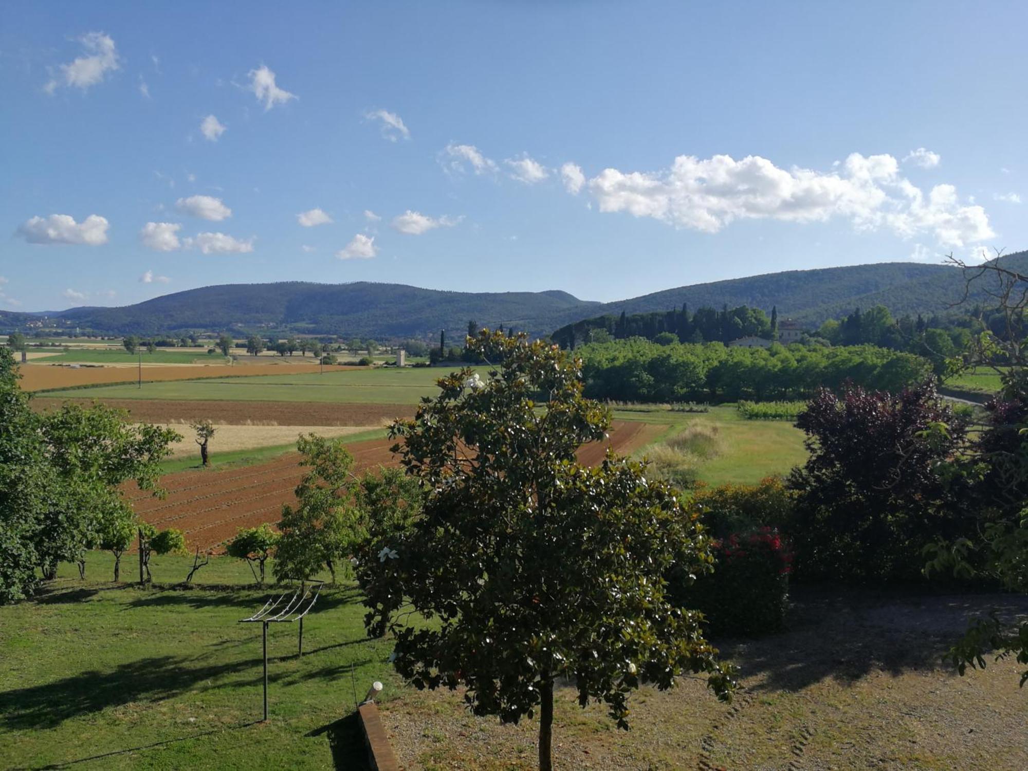 Claudia Vacanza Toscana - Appartamento Melograno -10 Min Da Siena Sovicille Szoba fotó